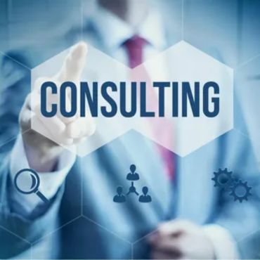 Information Technology Consultants